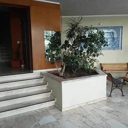 11a Rocha - Casas & Papeis