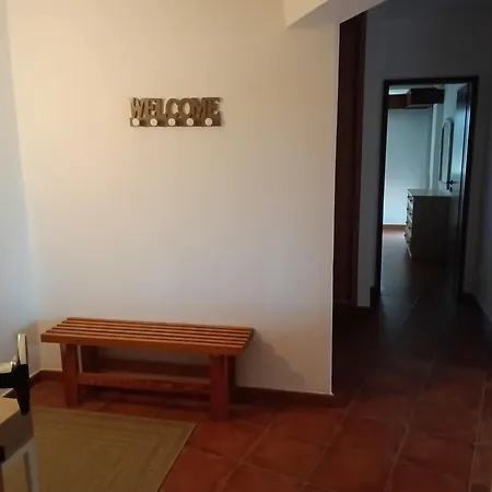 Apartamento 11a Rocha - Casas & Papeis